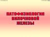Патофизиология вилочковой железы