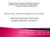 Функциональная анатомия лимфатической системы