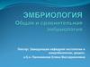 Общая и сравнительная эмбриология