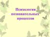 Психология познавательных процессов