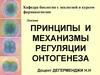 Принципы и механизмы регуляции онтогенеза