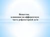 Вещества, влияющие на афферентную часть рефлекторной дуги