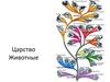 Царство Животные