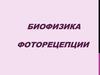 Биофизика фоторецепции