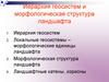 Иерархия геосистем и морфологическая структура ландшафта. (Тема 2)