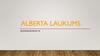 Alberta laukums- vesture