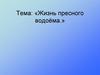 Жизнь пресного водоёма