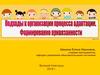 Подходы к организации процесса адаптации. Формирование привязанности