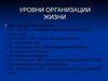 Уровни организации жизни
