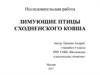 Видовое разнообразие птиц, обитающих в природном парке Сходненский ковш