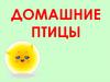 Домашние птицы
