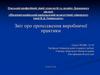 Звіт про проходження виробничої практики