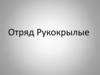 Отряд рукокрылые