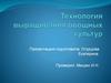 Технология выращивания овощных культур