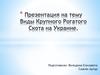 Виды крупного рогатого скота на Украине