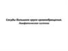 Сосуды большого круга кровообращения. Лимфатическая система