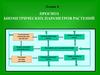 Прогноз биометрических параметров растений