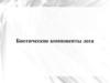 Биотические компоненты леса
