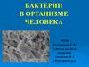 Бактерии в организме человека