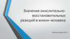 Значение окислительно-восстановительных реакций в жизни человека