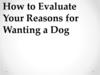 How to Evaluate Your Reasons for Wanting a Dog