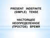 Present indefinite (simple) tense