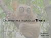Систематика подкласса Theria