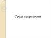 Среда территории