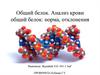 Общий белок. Анализ крови общий белок: норма, отклонения