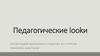 Педагогические lookи