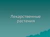 Лекарственные растения