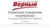 Управление поведением потребителей на примере торговой сети «Верный»