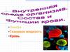 Внутренняя среда организма. Состав и функции крови