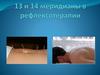 13 и 14 меридианы в рефлексотерапии