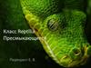 Класс Reptilia Пресмыкающиеся