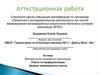 Аттестационная работа. Методическая разработка практикума. Работа по профориентации (формат перевернутого класса)