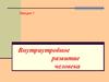 Внутриутробное развитие человека