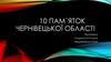 10 пам`яток Чернівецької області