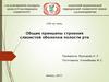 Общие принципы строения слизистой оболочки полости рта