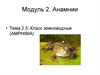 Анамнии. Класс земноводные