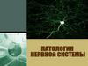 Патология нервной системы