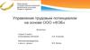 Управление трудовым потенциалом на основе ООО «ФЭБ»