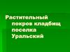Растительный покров поселка Уральский