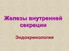 Железы внутренней секреции. Эндокринология