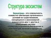 Структура экосистем