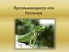 Пресмыкающиеся, или Рептилии