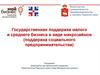 Государственная поддержка малого и среднего бизнеса в виде микрозаймов (поддержка социального предпринимательства)