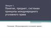 Понятие, предмет, система и принципы международного уголовного права
