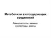 Метаболизм азотсодержащих соединений. Аминокислоты, аммиак, нуклеотиды, амины