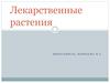 Лекарственные растения